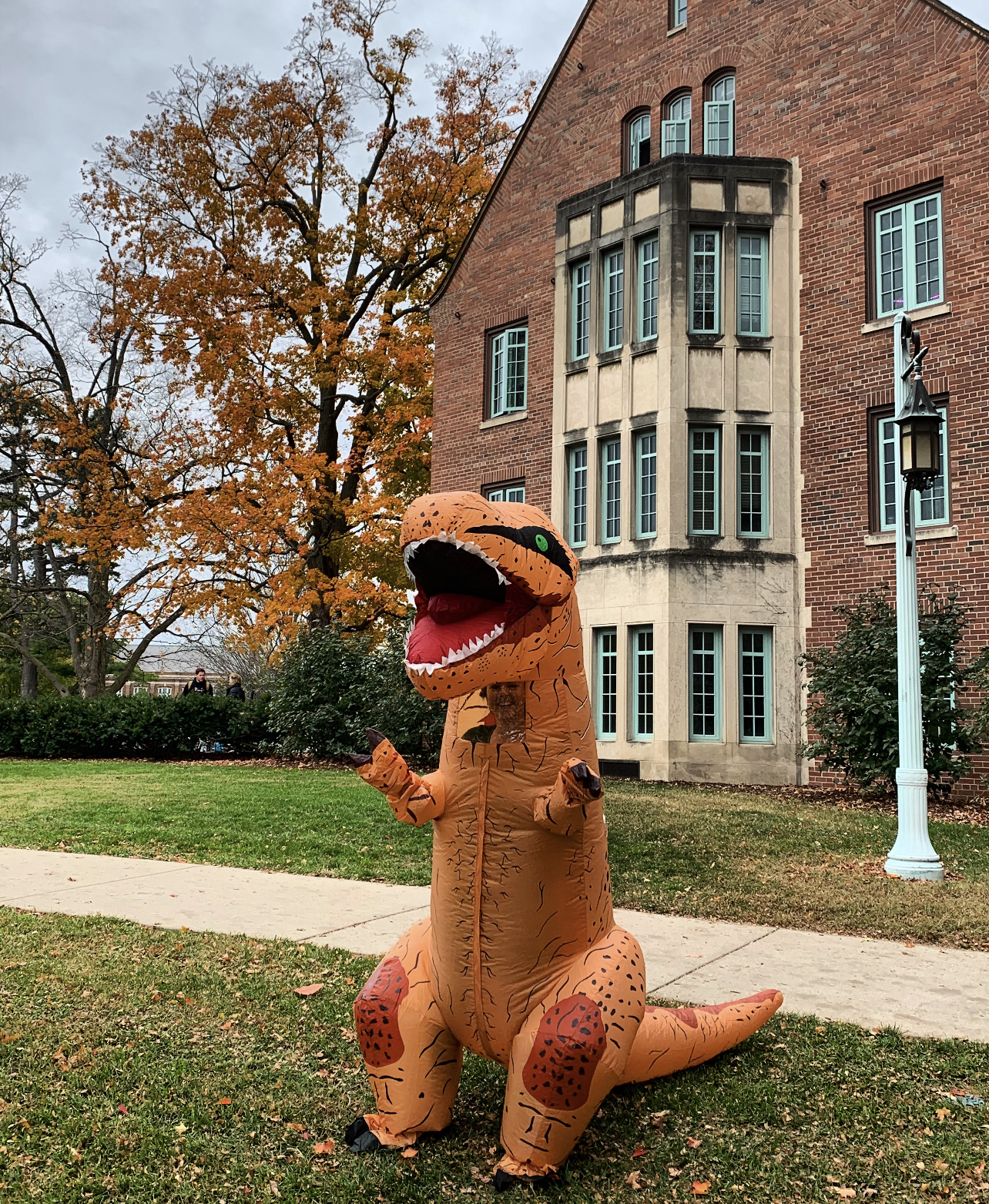 Dinosaur costume