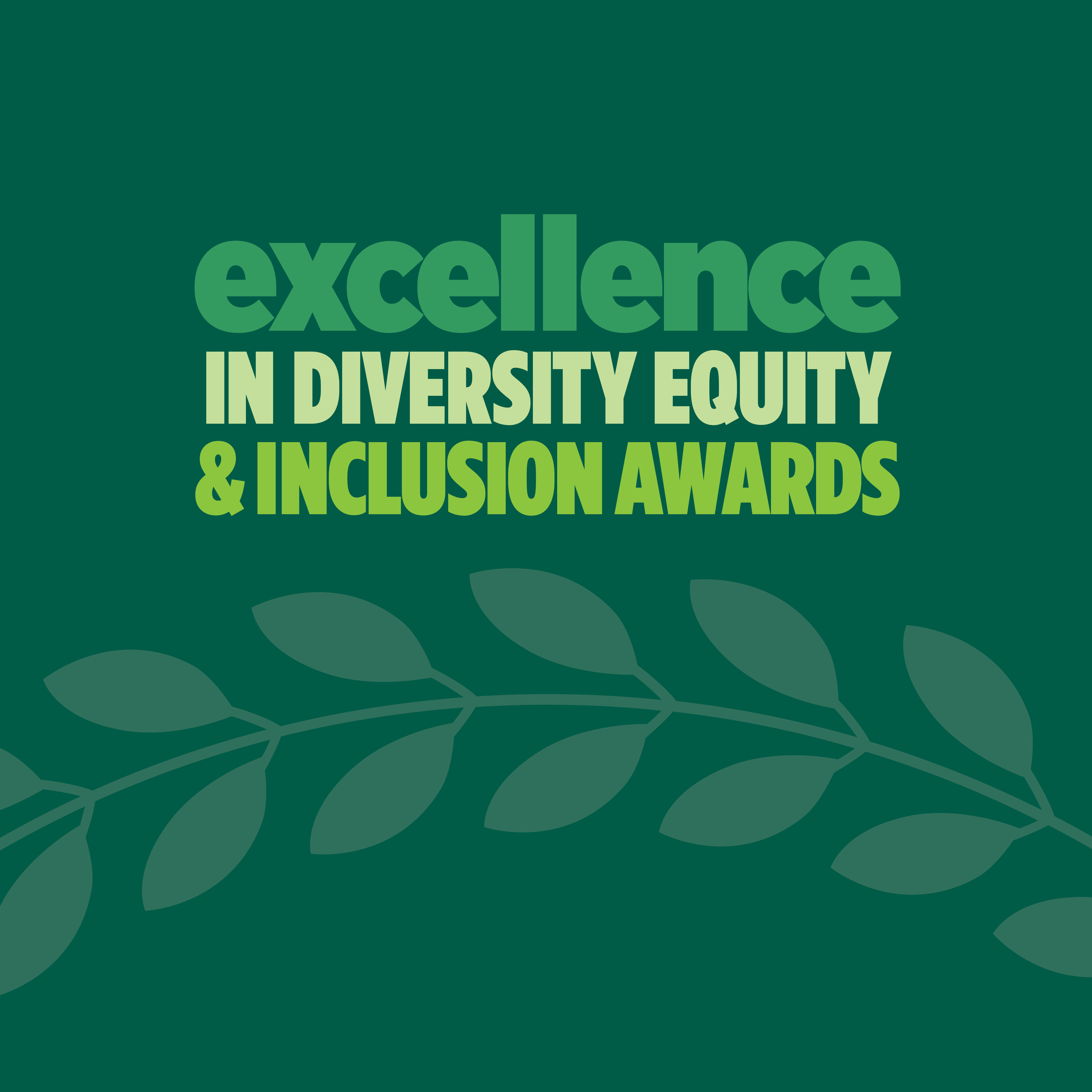 Excellence in Diversity Equity and Inclusion Awards call for nominations